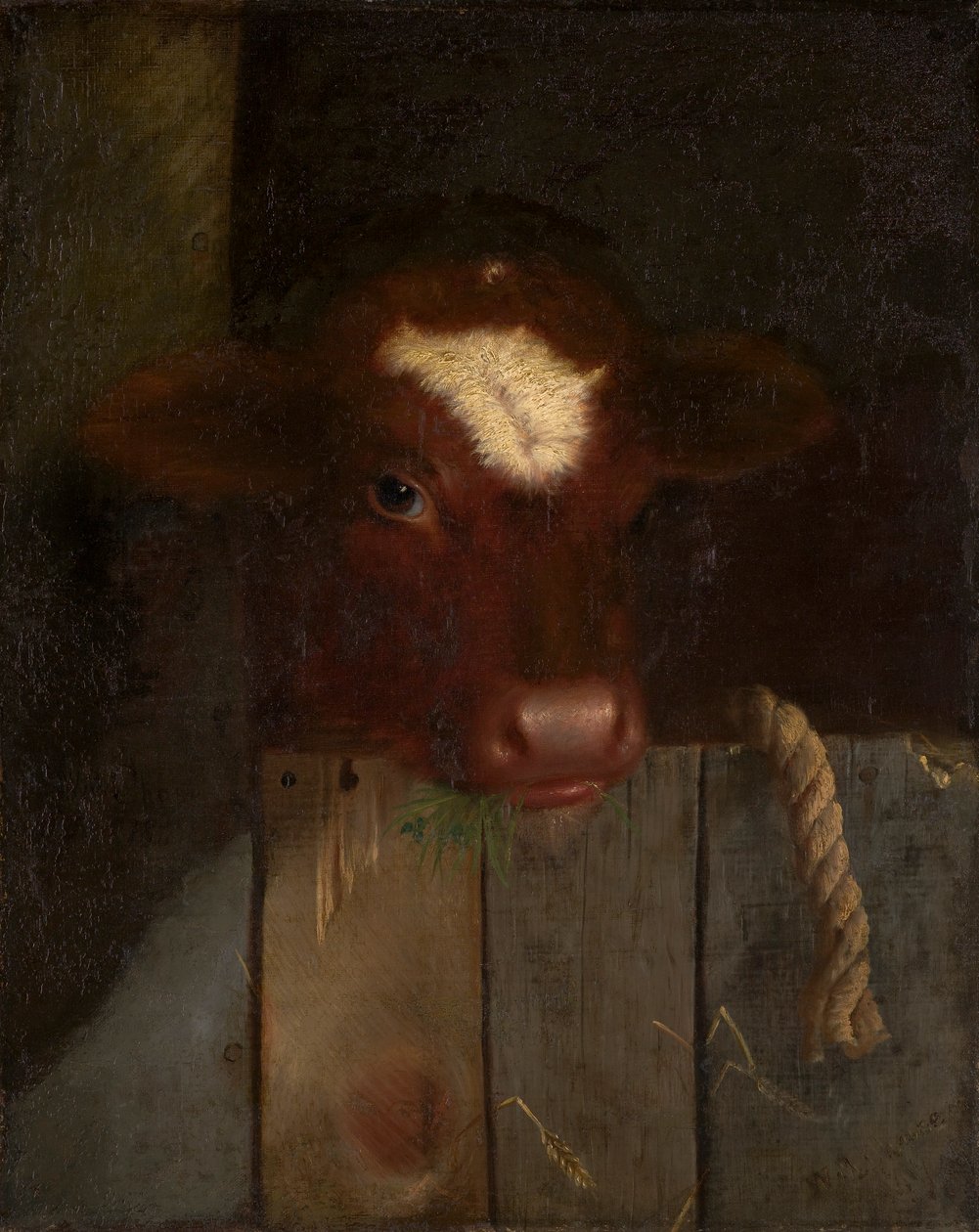 A családi tehén (Borjúfej) alkotó: William Merritt Chase