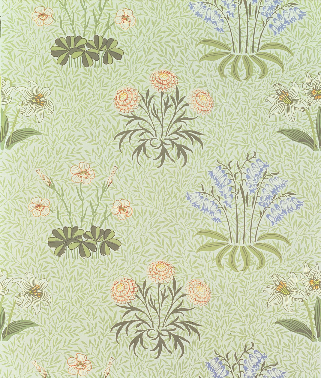 Százszorszép dizájn tapéta gyöngyvirággal és más vadvirágokkal „fűzfa” alapon, William Morris (1834-96) 1862 terve alkotó: William Morris