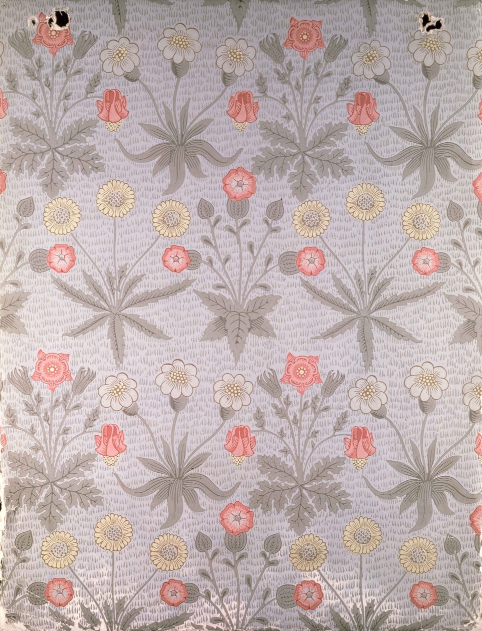 „Daisy” tapéta, William Morris terveiből, 1864-ből alkotó: William Morris