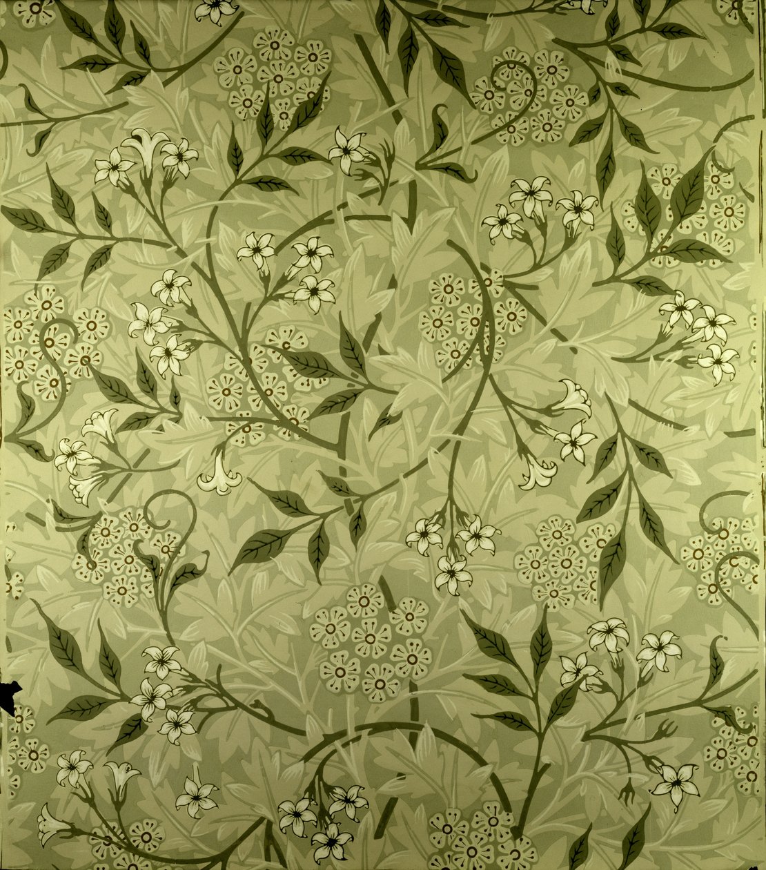 "Jázmin" tapéta, 1872 alkotó: William Morris