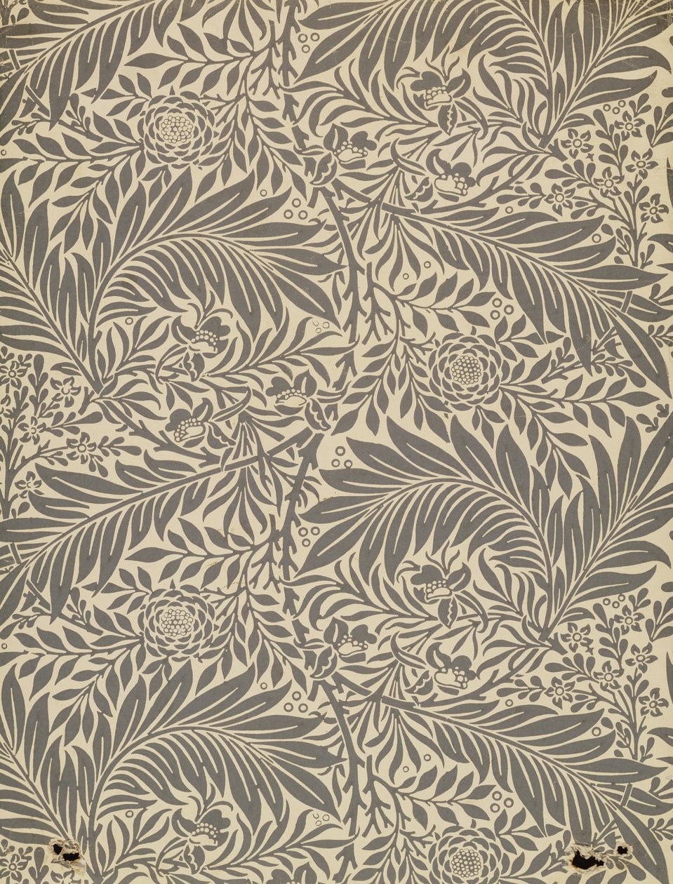 Larkspur, tapéta, 1872 alkotó: William Morris