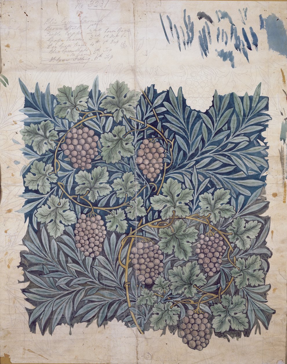 Levél és szőlő design a 