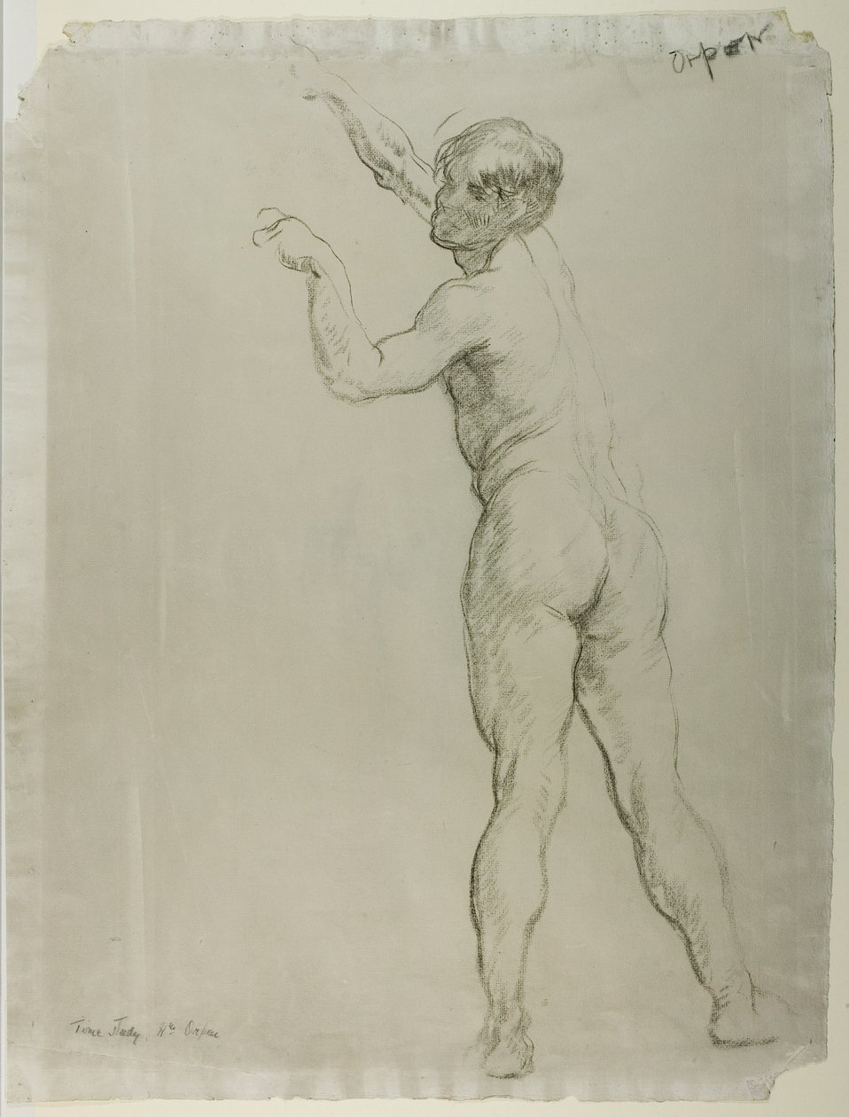 Férfi akt álló (kréta papíron) alkotó: William Orpen