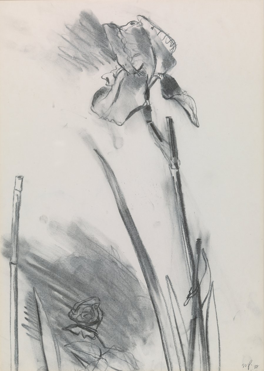 Írisz 2 alkotó: William Packer