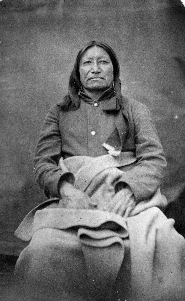 Foltos Farok, sziú törzsfőnök, 1870 körül alkotó: William Richard Cross