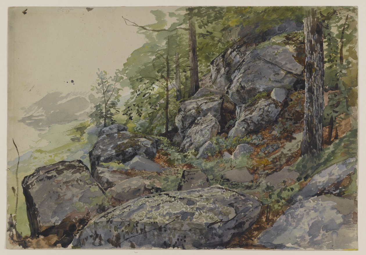 Woodland Boulders, 1877-78 körül (wc grafit felett, texturált szőtt papíron) alkotó: William Trost Richards