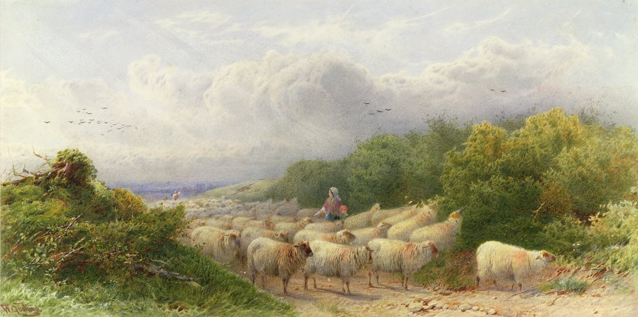 Birkák a Downsban alkotó: William W. Gosling