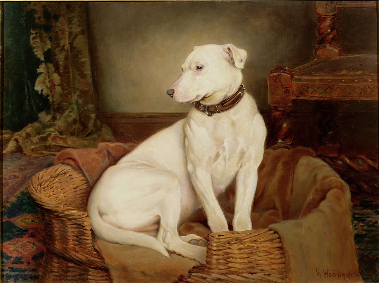 In Disgrace alkotó: William Woodhouse