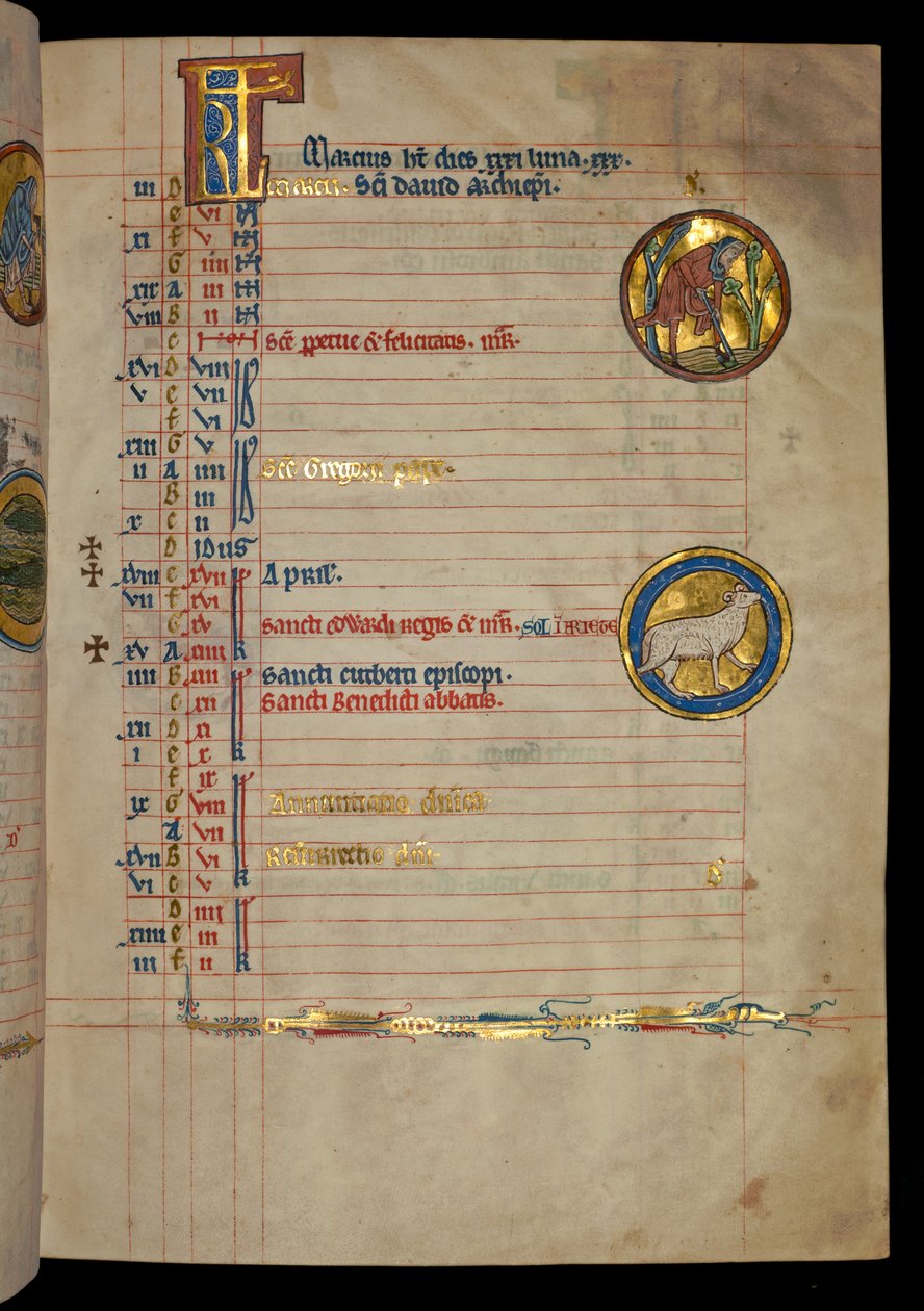 Ms 322 f.2r, Március, ásó férfi, illusztráció a "De Brailes zsoltárból", 1250 körül. alkotó: William de Brailes  
