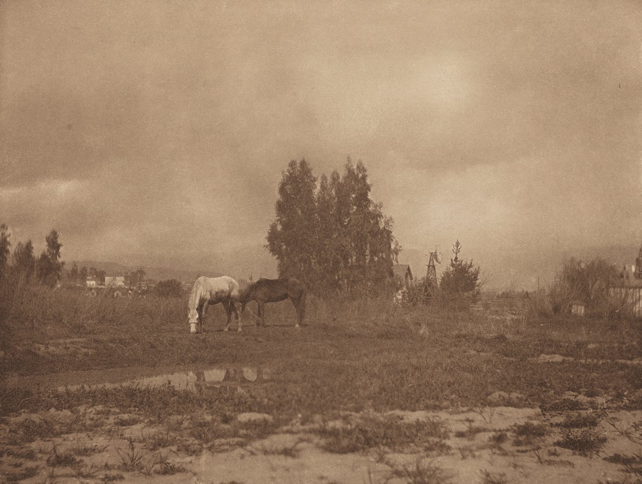 Pasadenai táj, 1899. alkotó: William B Post