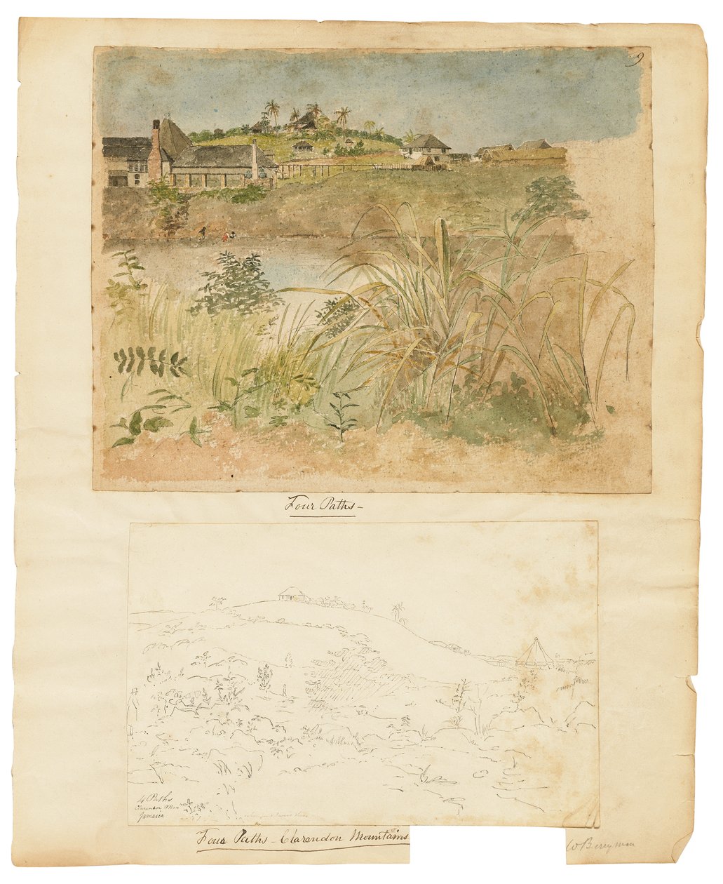 Négy ösvény, Clarendon-hegység, Jamaica alkotó: William Berryman