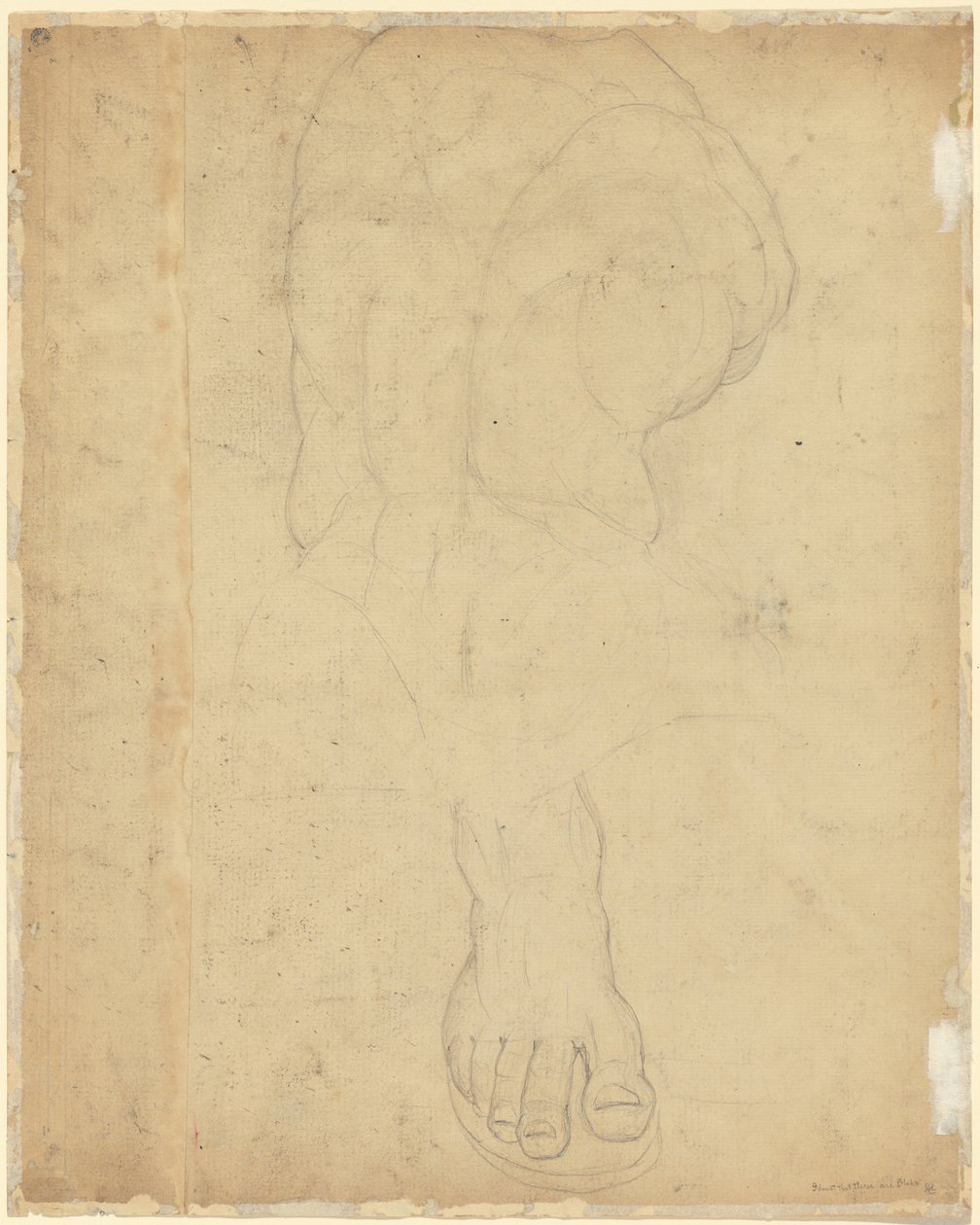 A Belvedere-torzó [verso] alkotó: William Blake