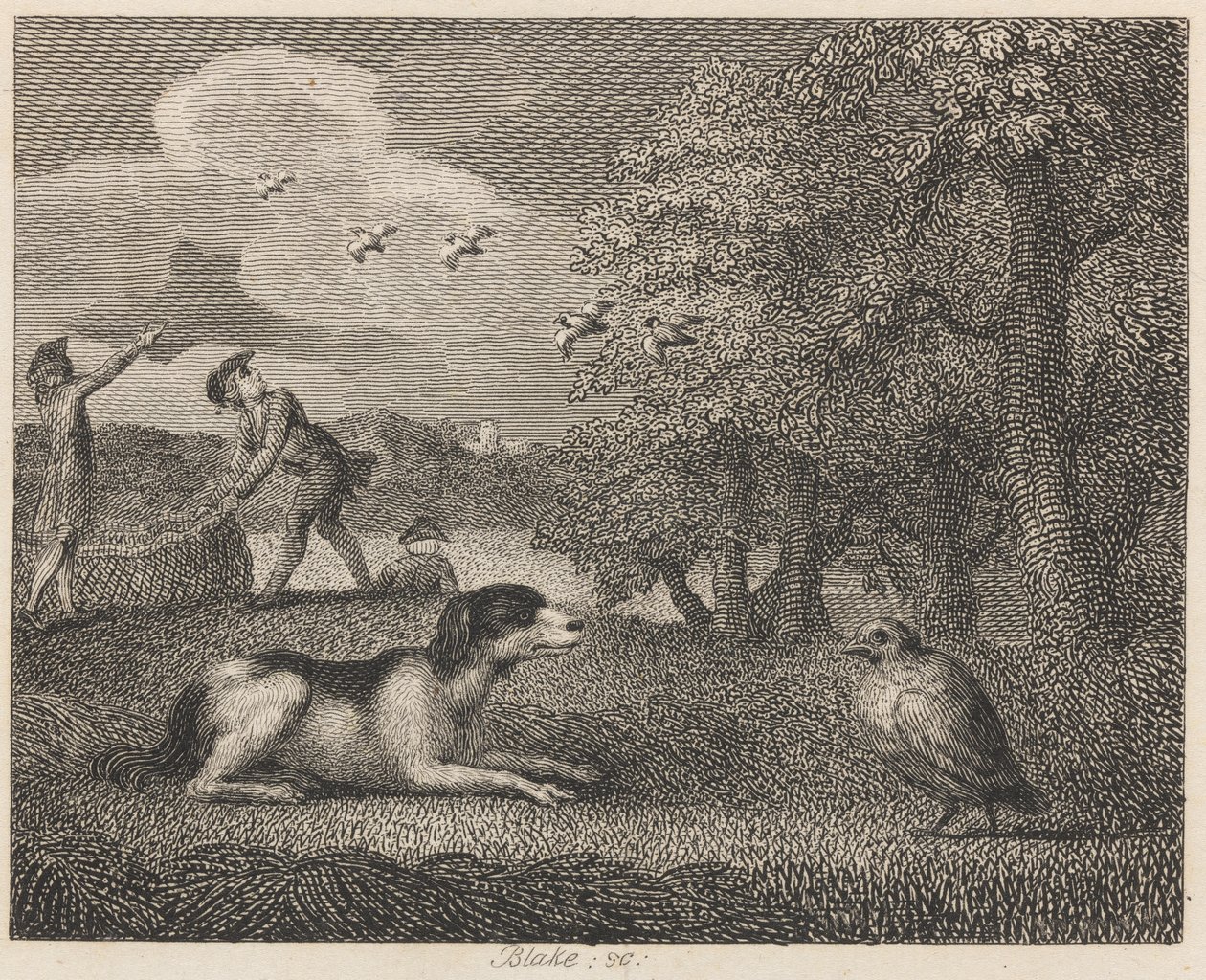 A Setting-kutya és a Partridge alkotó: William Blake