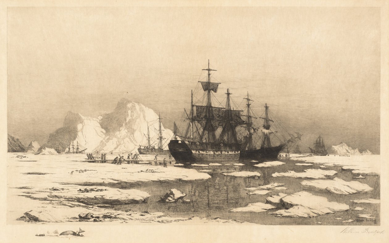 Jégtáblák között alkotó: William Bradford