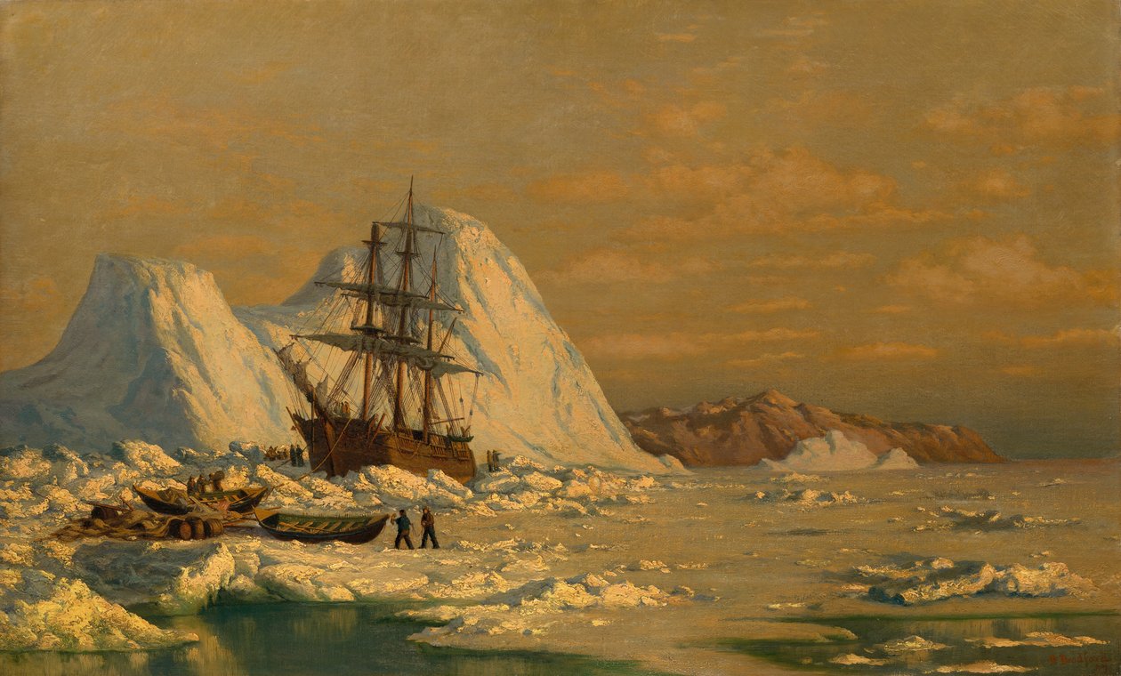 Bálnavadászati incidens. alkotó: William Bradford