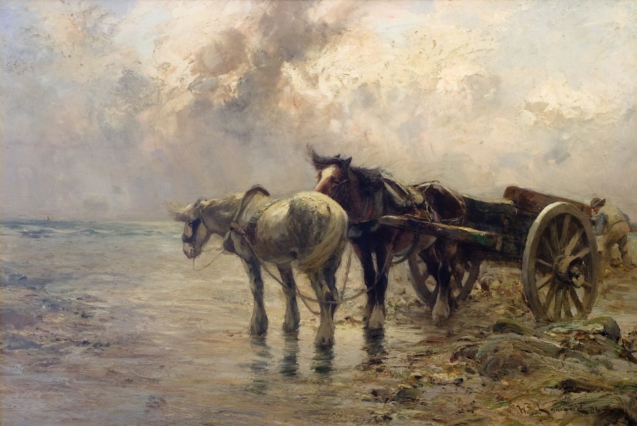 Szellős nap alkotó: William Bradley Lamond