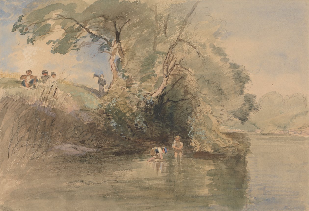 Evezés alkotó: William Collins
