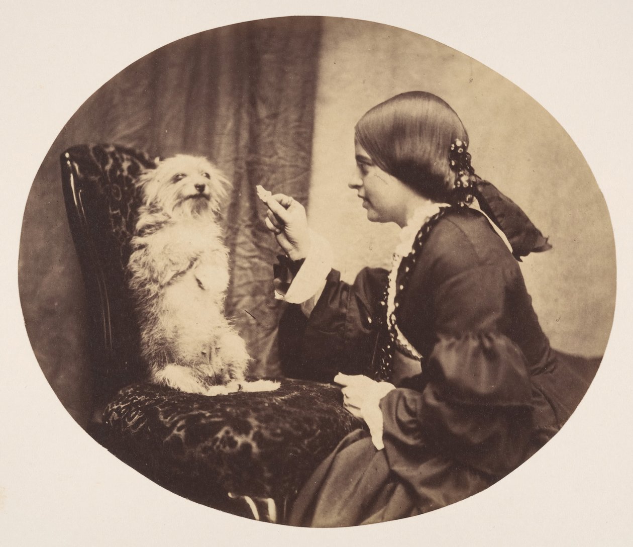 A lecke, 1856. alkotó: William G. Campbell