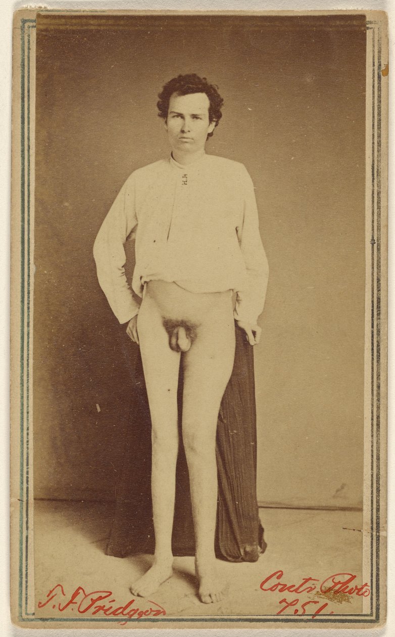 T.F. Pridgeon [polgárháborús áldozat] alkotó: William H. Bell