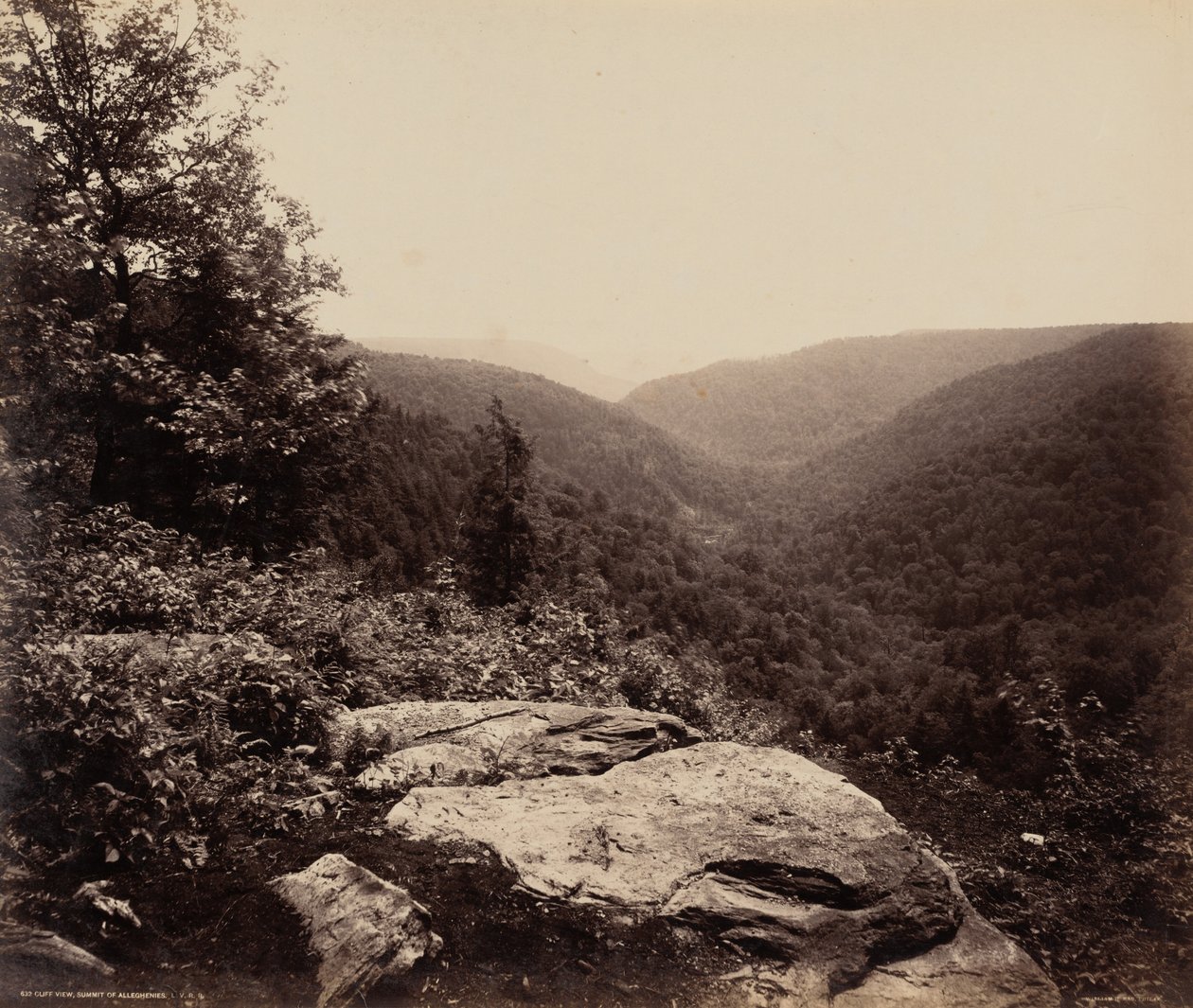 Cliff View, Alleghenies csúcsa alkotó: William H. Rau