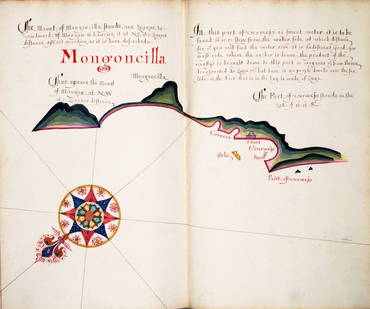 Mongoncilla alkotó: William Hack