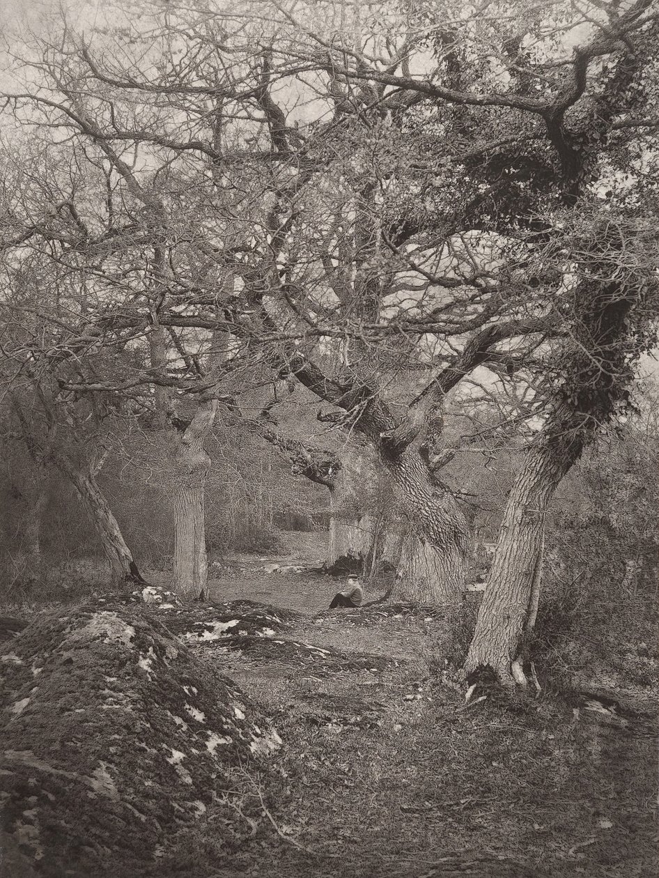 Fontainebleau-i erdő, 1870-es évek. alkotó: William Harrison