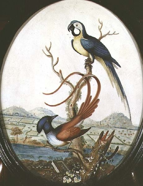 Lyrebird és Jay alkotó: William Hayes