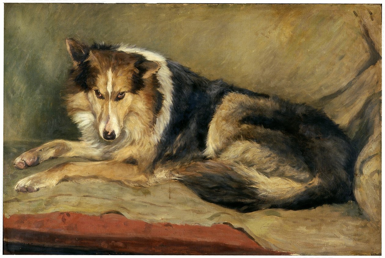Collie kutya alkotó: William Henry Charlton