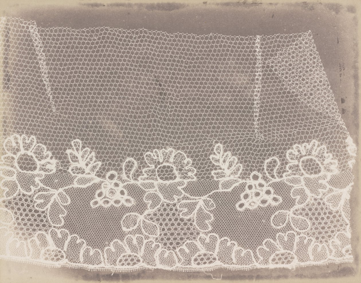Csipke alkotó: William Henry Fox Talbot