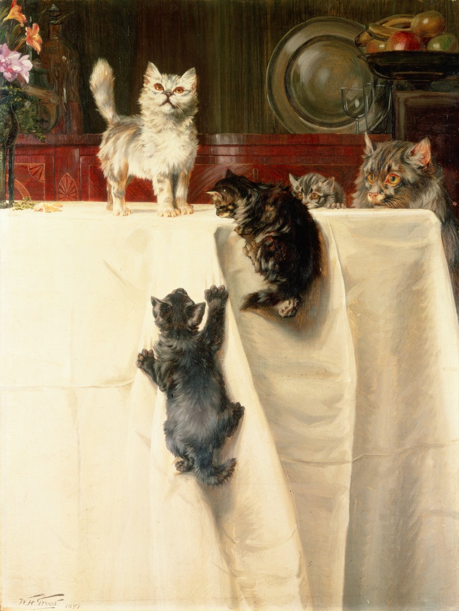 Macskák alkotó: William Henry Hamilton Trood