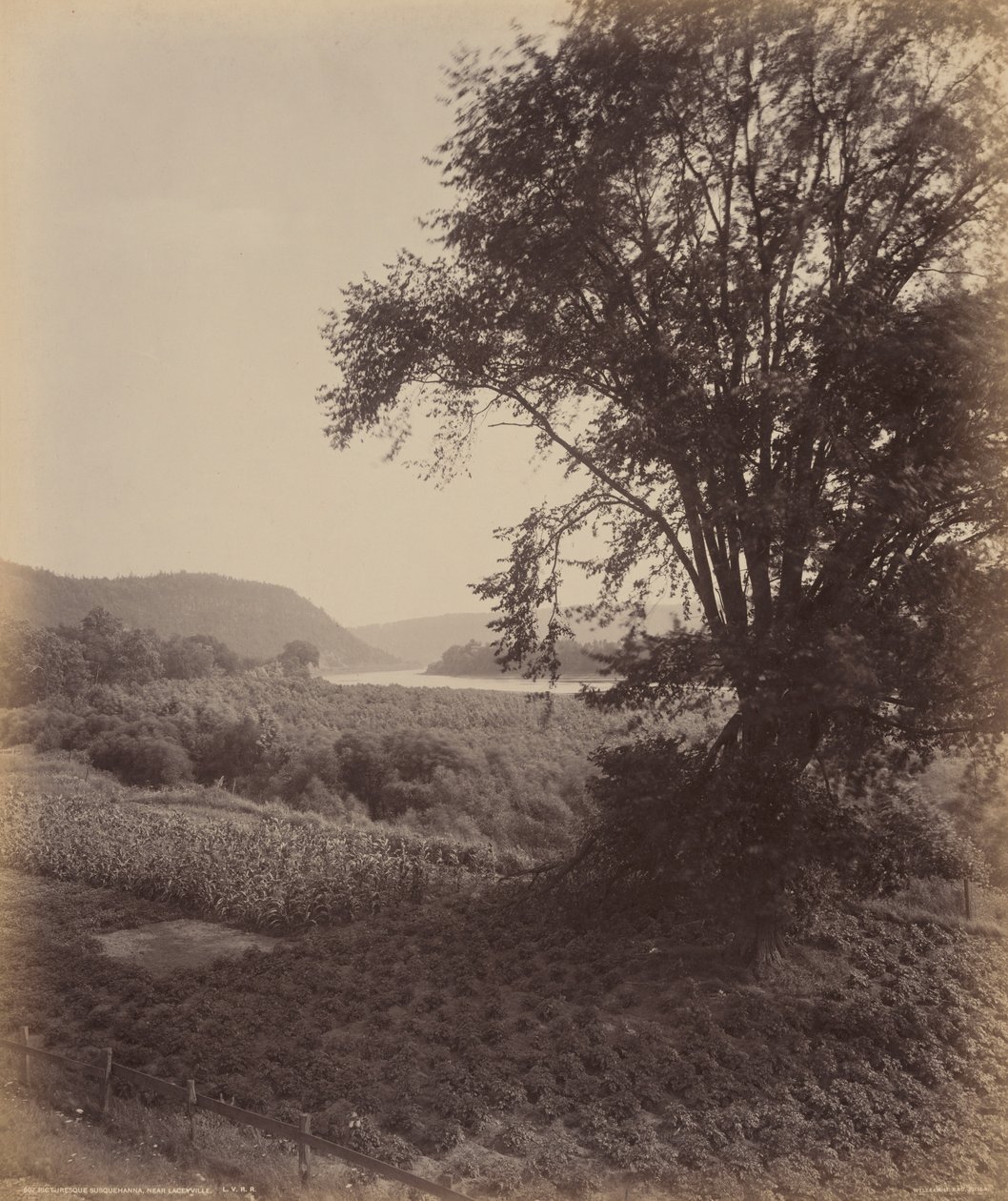 Festői Susquehanna, Laceyville közelében, 1895 körül (fotó) alkotó: William Herman Rau