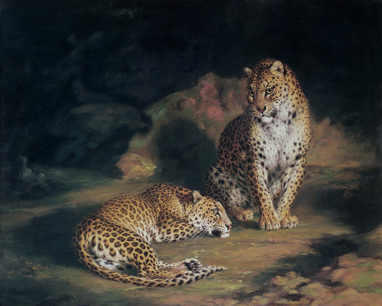 Egy pár leopárd, 1845 alkotó: William Huggins