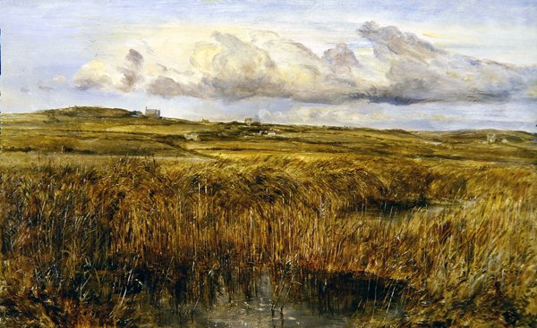 Rhoscolyn, Anglesey (olaj a fedélzeten) alkotó: William Joseph J.C. Bond