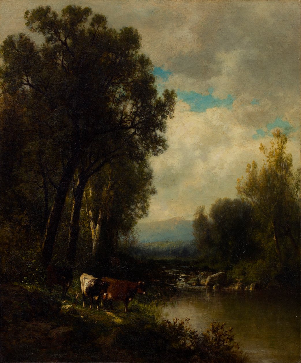Szarvasmarha a folyón alkotó: William M. Hart