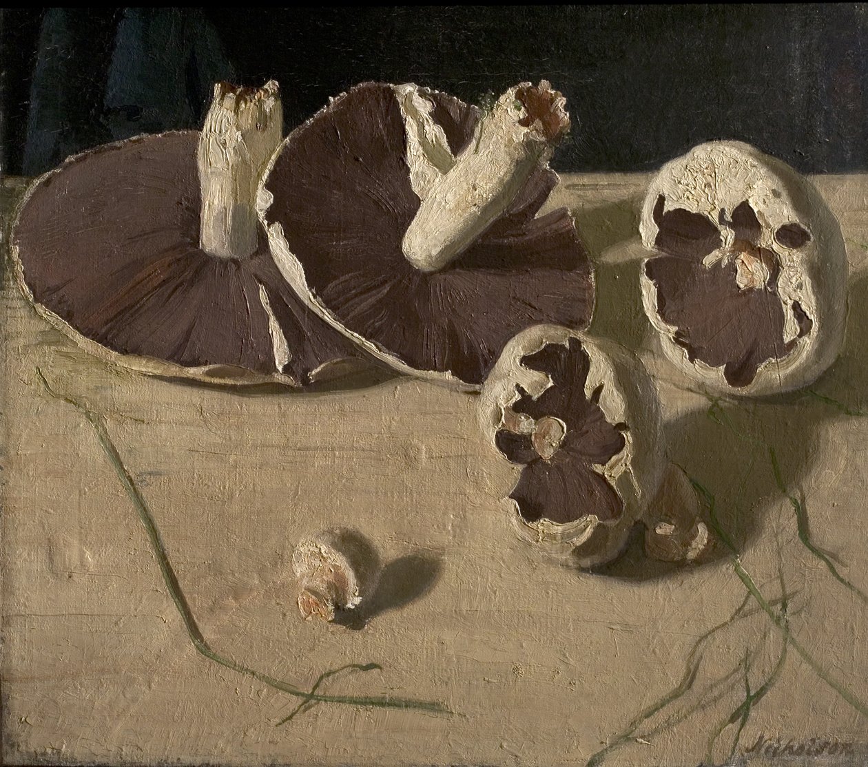 Gomba alkotó: William Nicholson