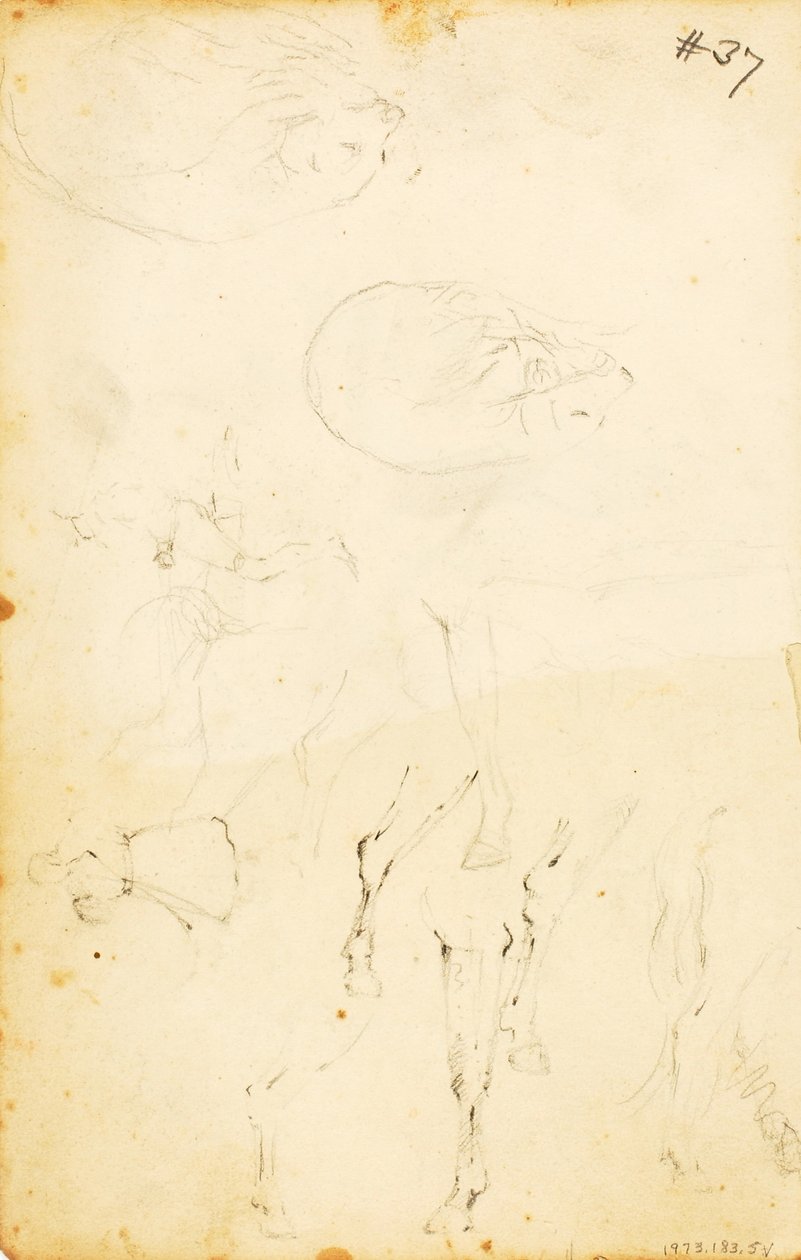 (Tanulmányok--figurák, fatörzs, ló és lovas, stb.) alkotó: William Page