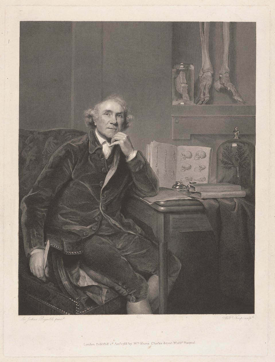 John Hunter, F.R.S. alkotó: William Sharp