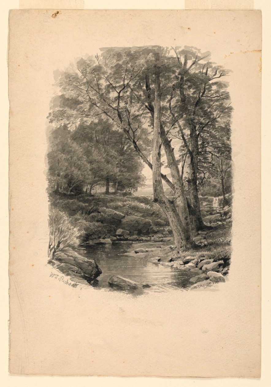 Rajz, Medence az erdőben, 1874 alkotó: William Trost Richards