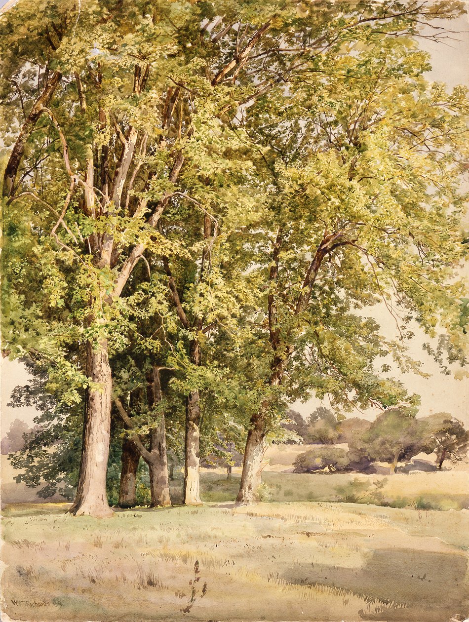 Juharok Chester megyében, Pennsylvania alkotó: William Trost Richards