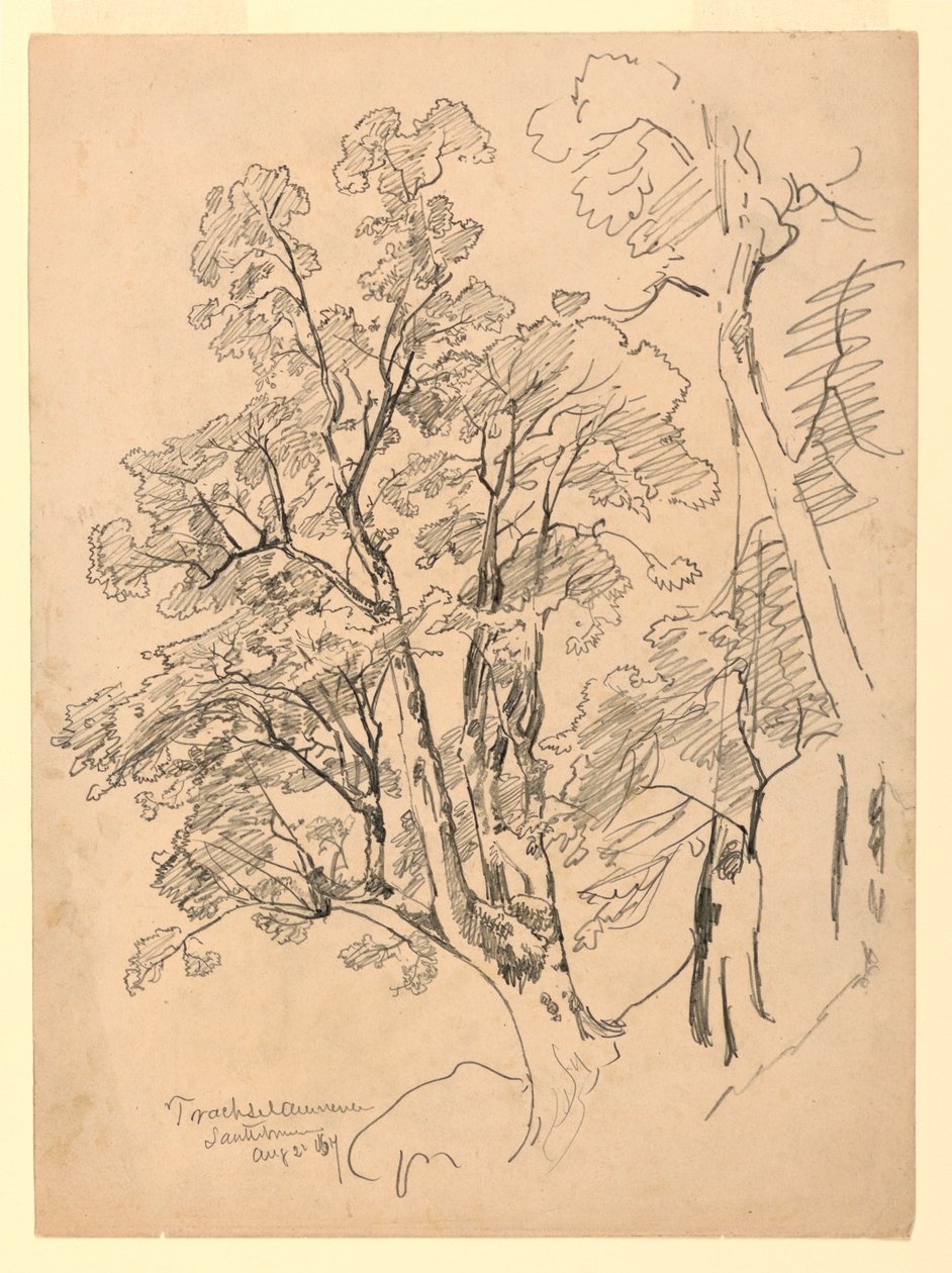 Lombozat tanulmányozása, Trachselwald, Bern, Svájc alkotó: William Trost Richards
