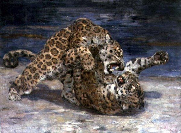 Leopards Fighting, 1910 körül (olaj, vászon) alkotó: William Walls