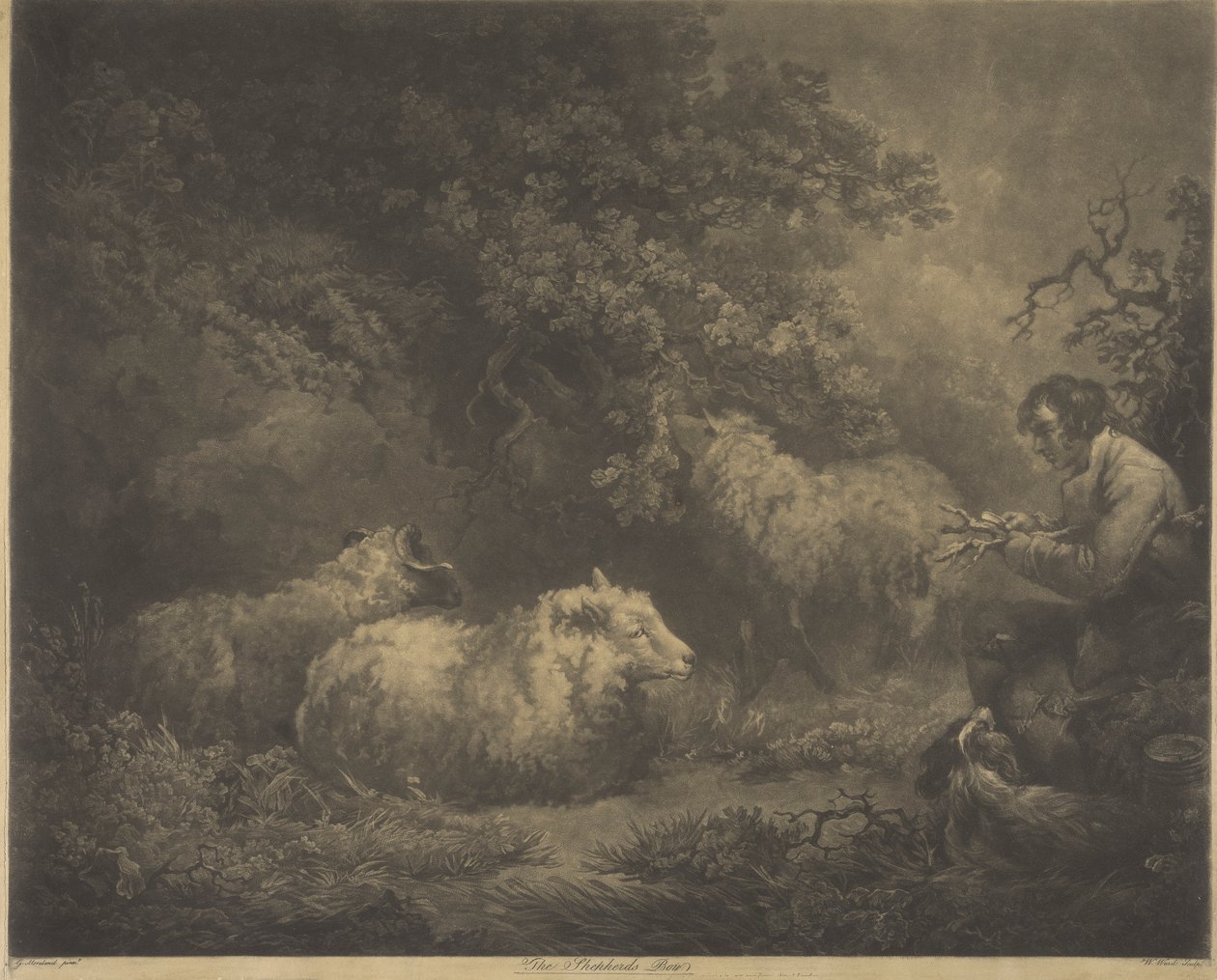 A Pásztorfiú alkotó: William Ward