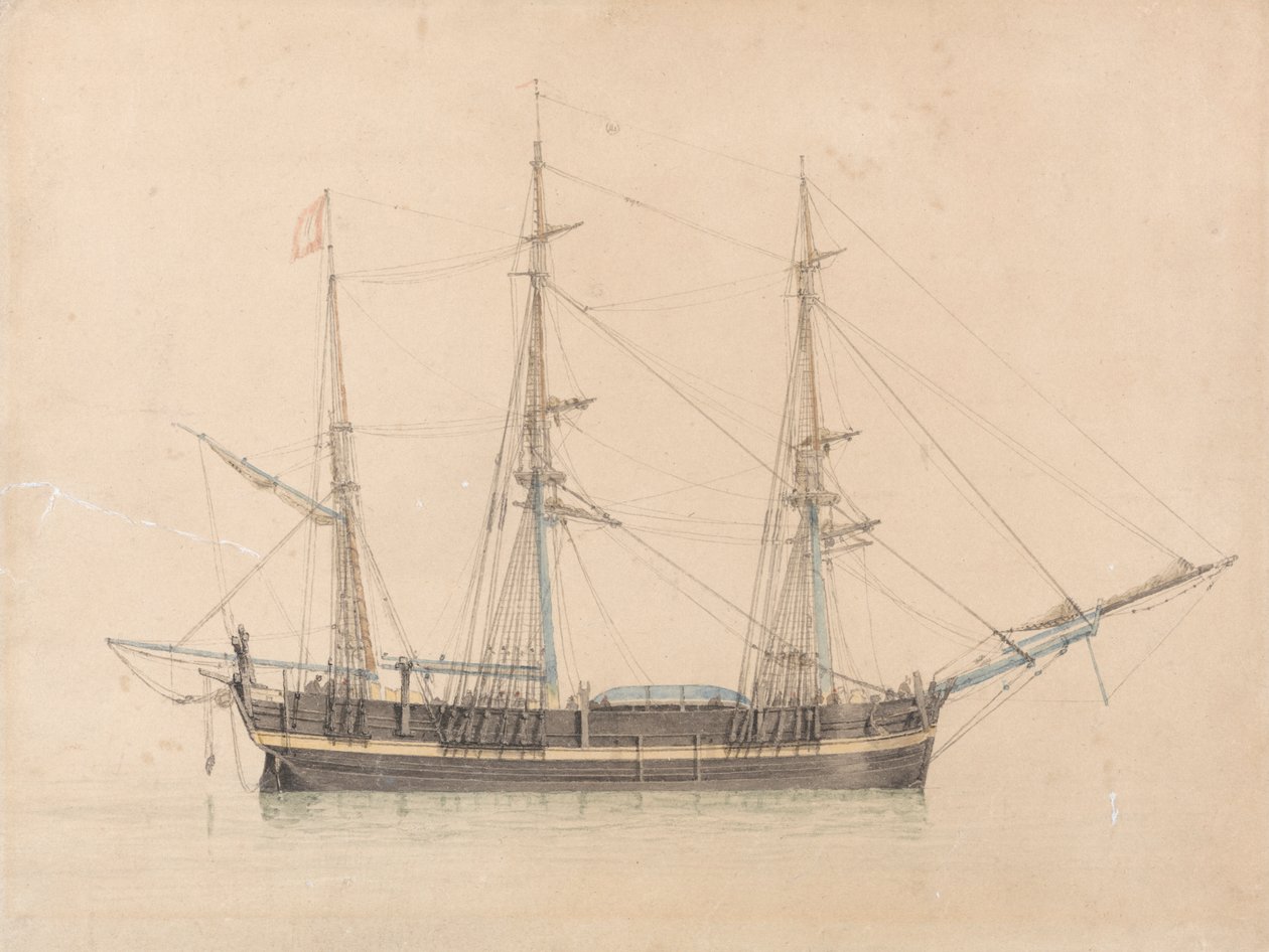 A Hull "Truelove" bálnavadász alkotó: William Ward
