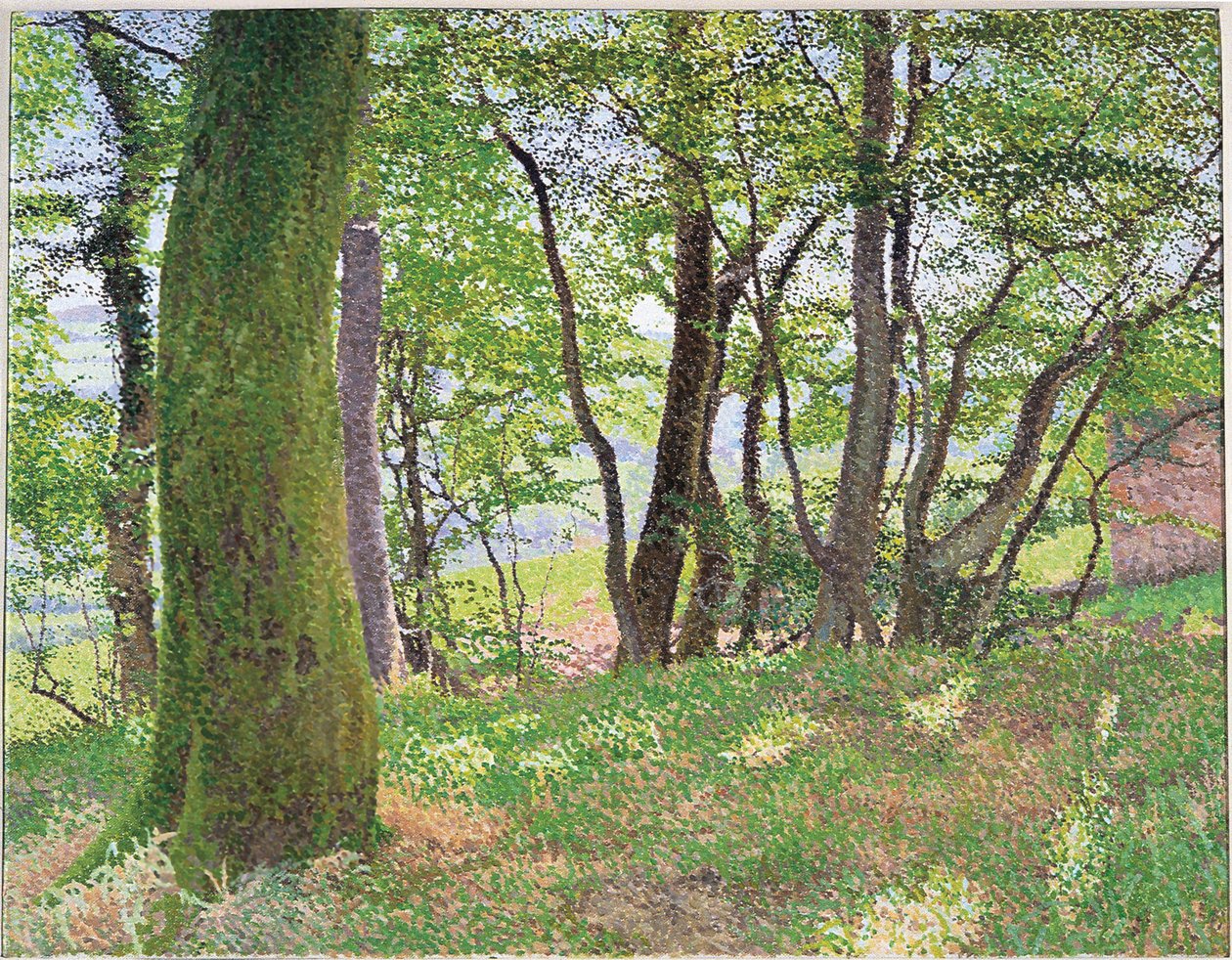 Carmarthenshire-i délután alkotó: William Wilkins
