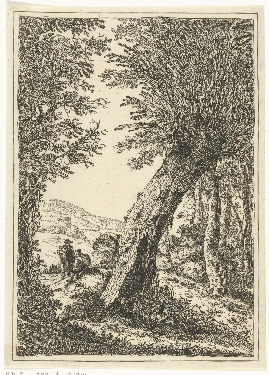 fűzfa alkotó: William Young Ottley
