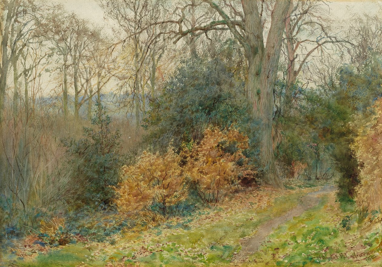 Ösvény az erdőn át, 1902 alkotó: Wilmot Pilsbury