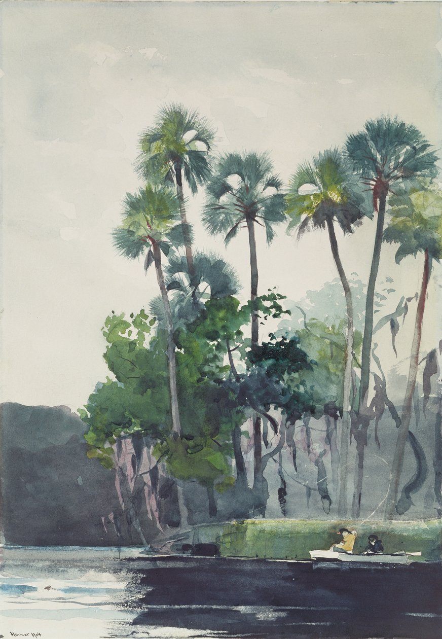 Homosassa folyó, 1904 alkotó: Winslow Homer