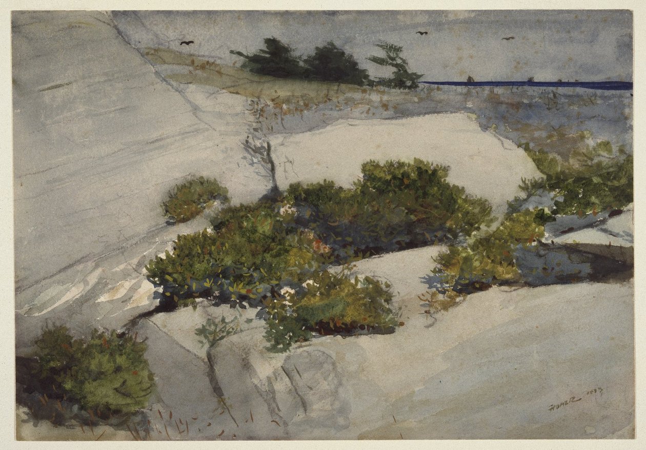 Maine sziklák alkotó: Winslow Homer