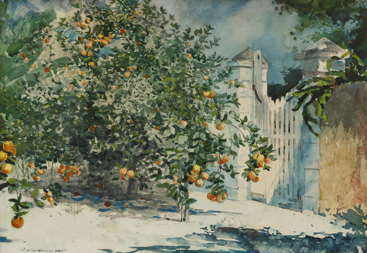 Narancsfák és kapu alkotó: Winslow Homer