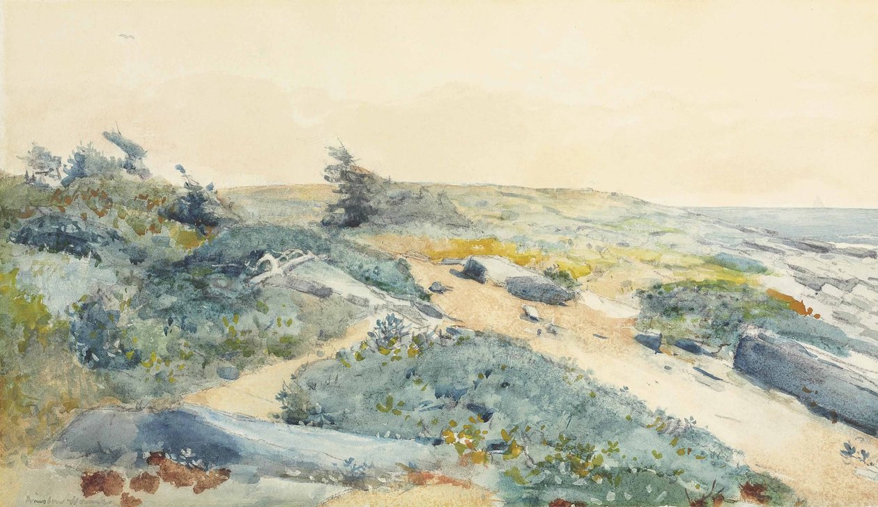 Prouts Nyak alkotó: Winslow Homer